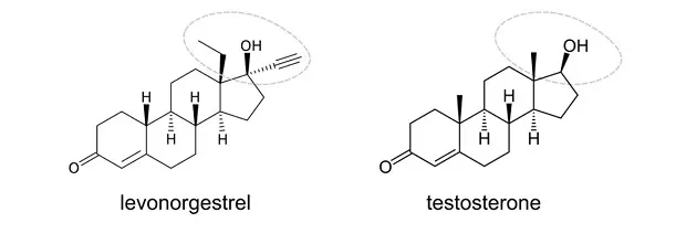 Levonorgestrel has a high androgen index and is similar to testosterone.