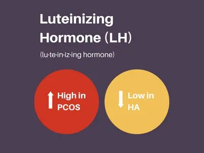 Luteinizing hormone or LH to diagnose PCOS versus hypothalamic amenorrhea.