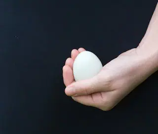 woman holding egg