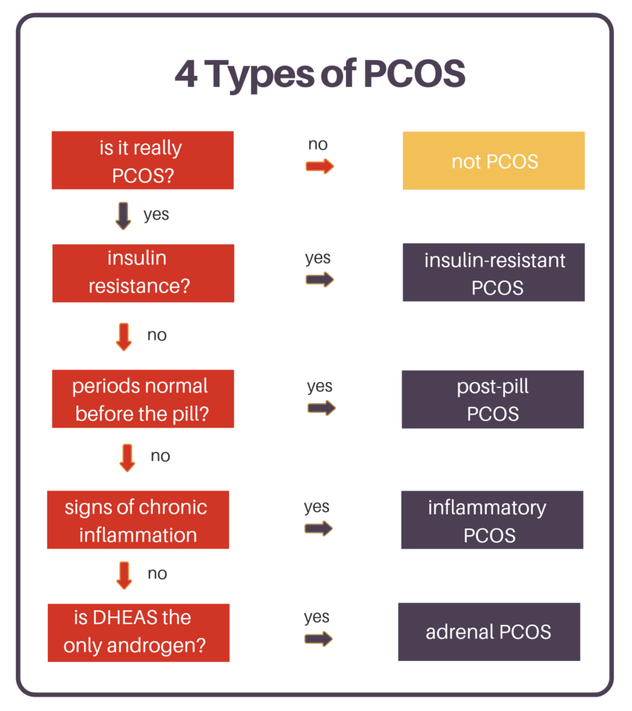 4 Types of PCOS including insulin-resistant PCOS and post-pill PCOS.