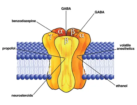 GABA receptor PMDD