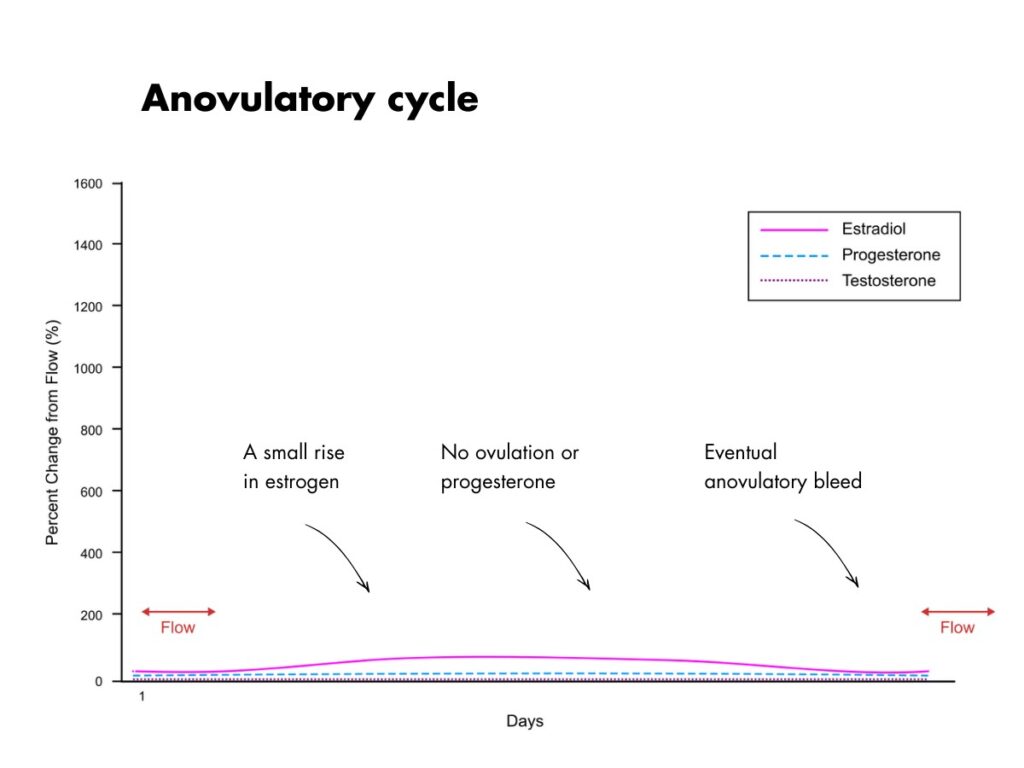 Anovulatory cycle