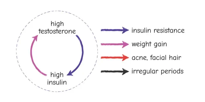 In women, high testosterone causes weight gain. 