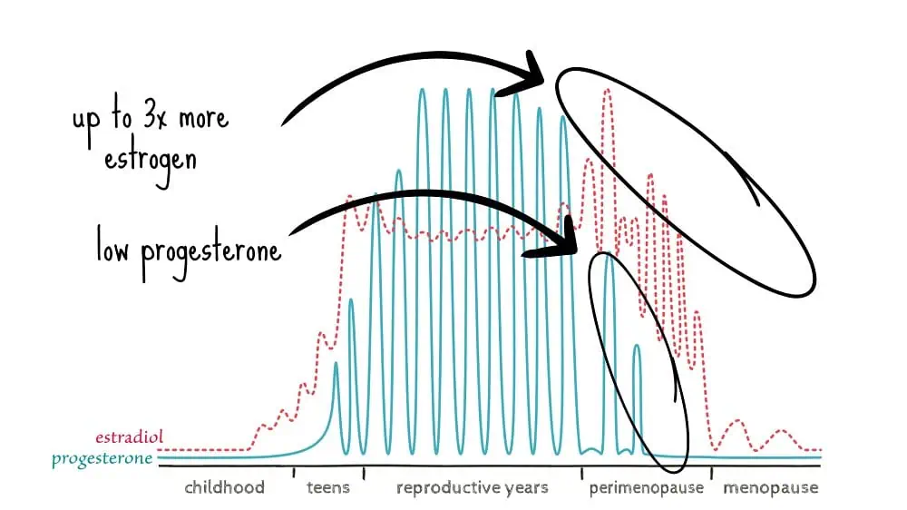 Hormones across the lifespan.