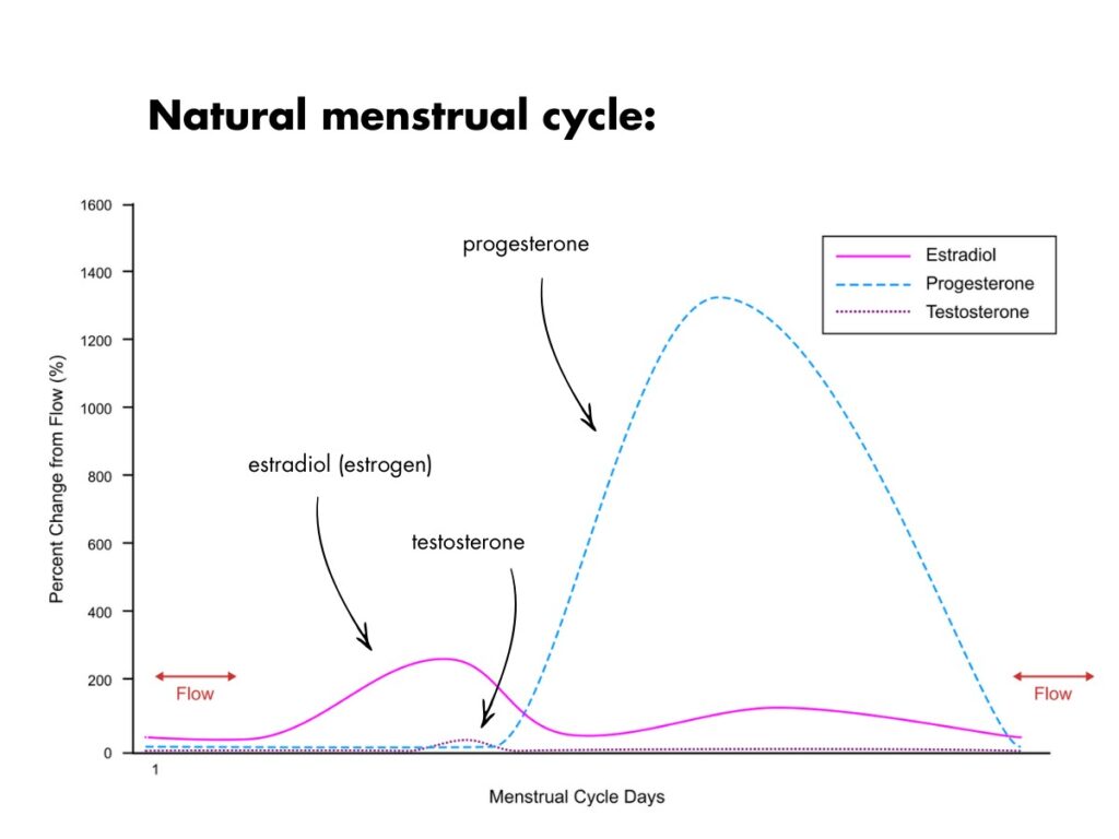 natural menstrual cycle