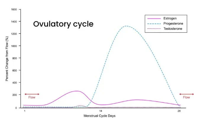 Menstrual cycle with progesterone to scale.