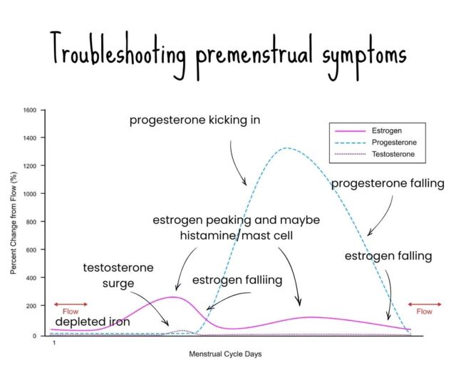 The Role of Histamine and Mast Cells in PMS and PMDD